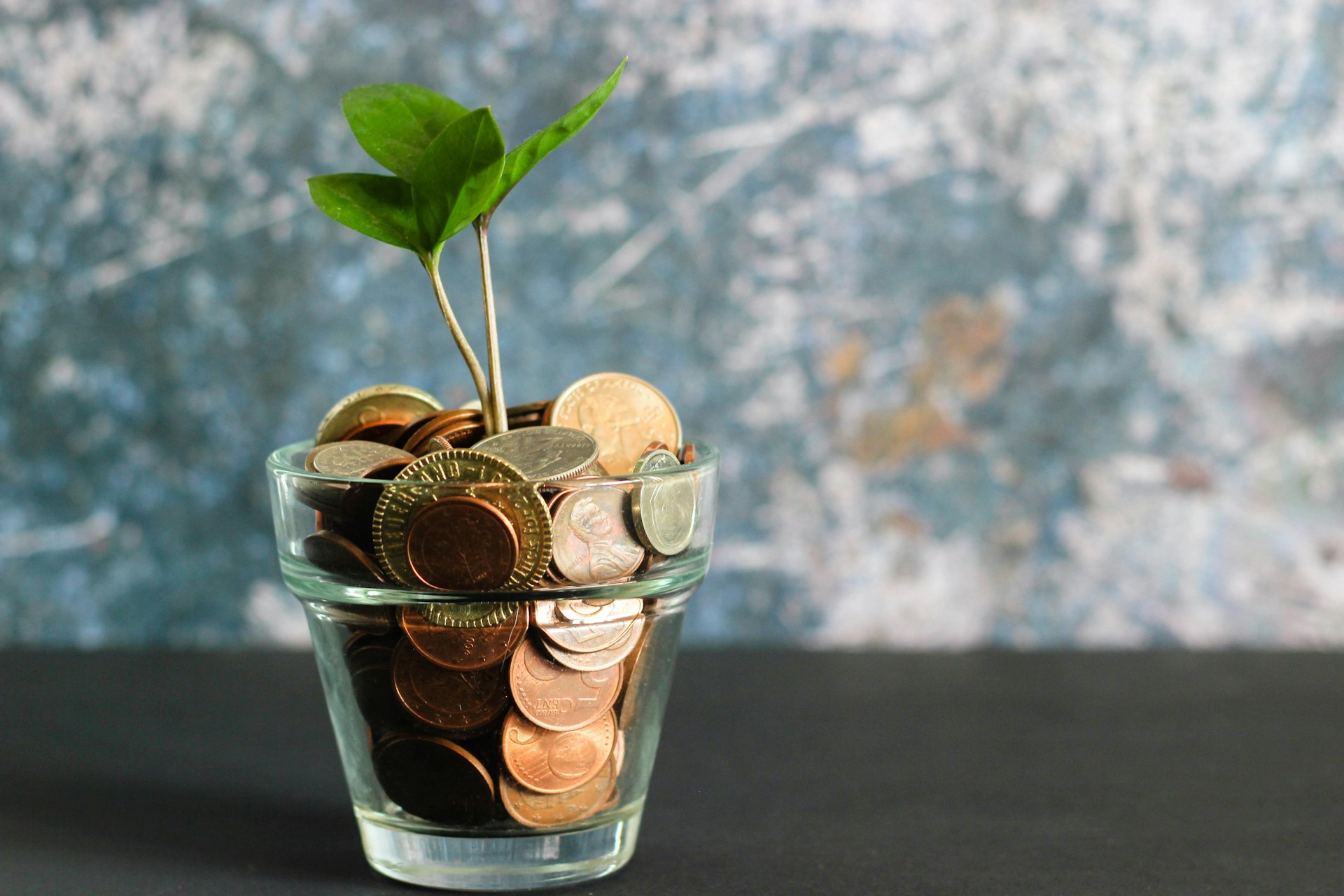 savings plant growth